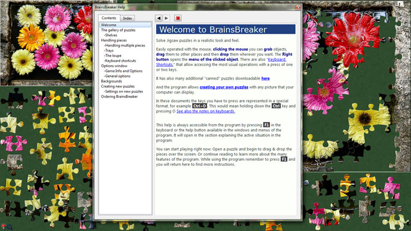 BrainsBreaker Help